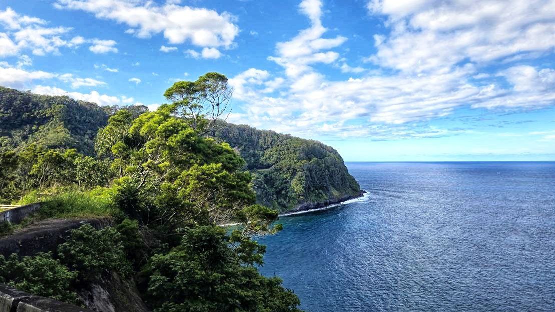 Scenic Point from Road to Hana
