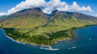 Hawaii Stays With You