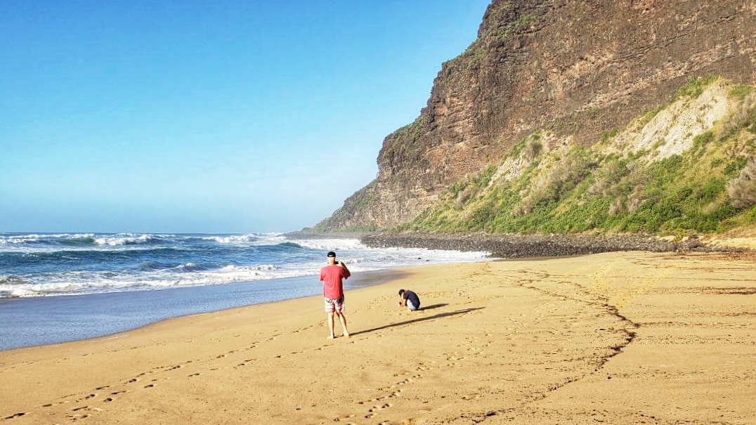 Kauai Is Getting Free Starlink WiFi In Places Phones Don’t Work.