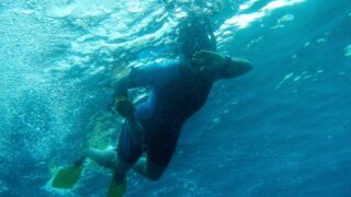 Hawaii snorkeling