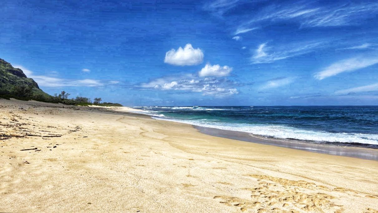 Kaena Point State Park Oahu