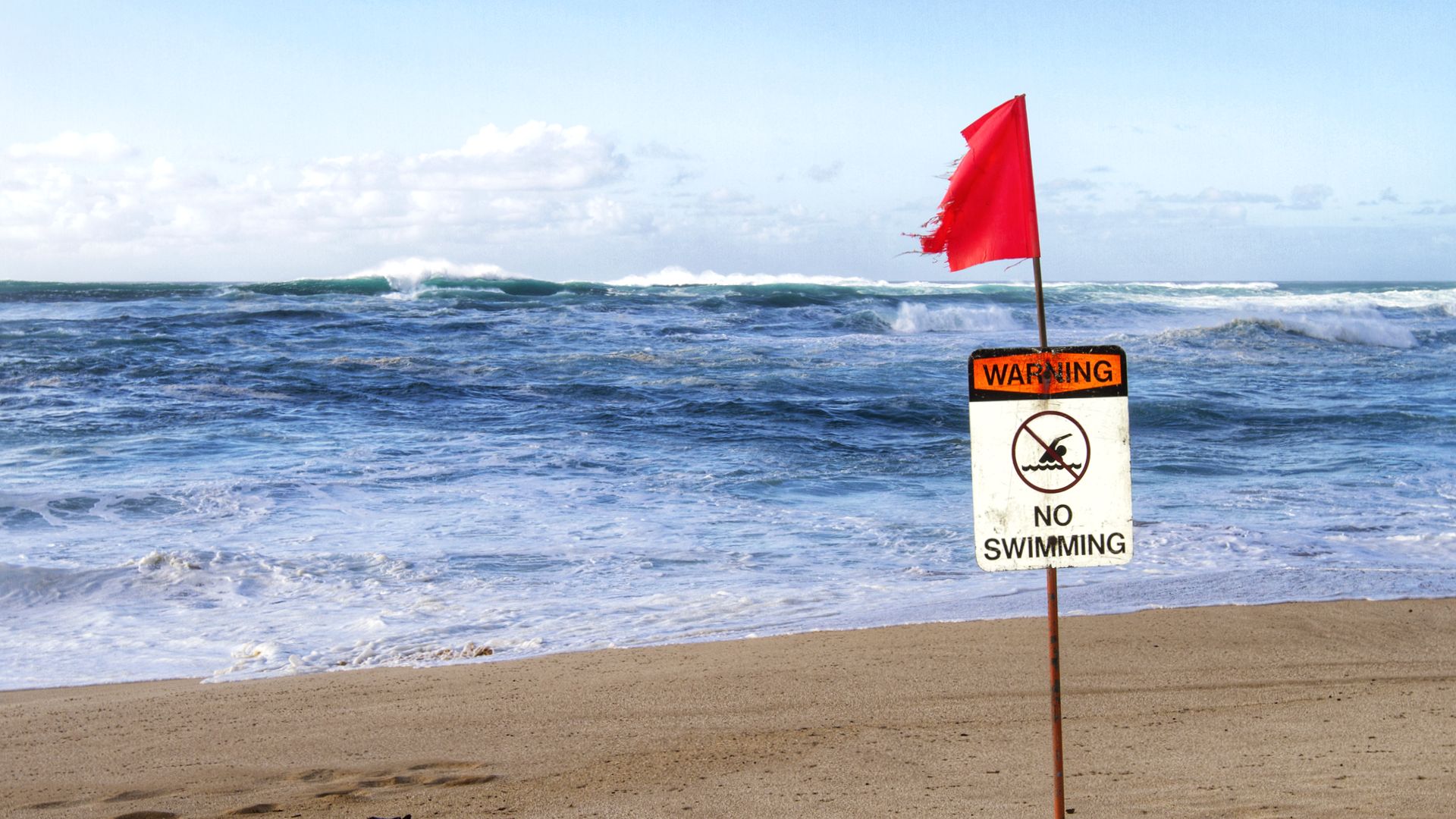Hawaii Visitors Are Swimming In Contaminated Water Right Now