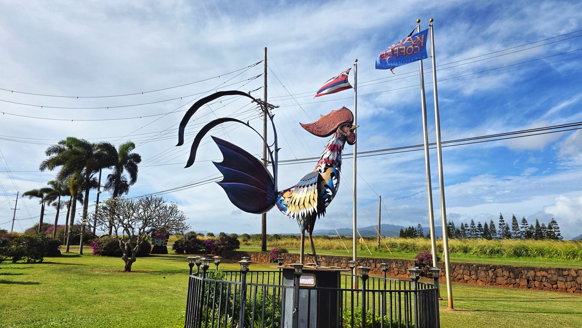 Kauai Coffee Company