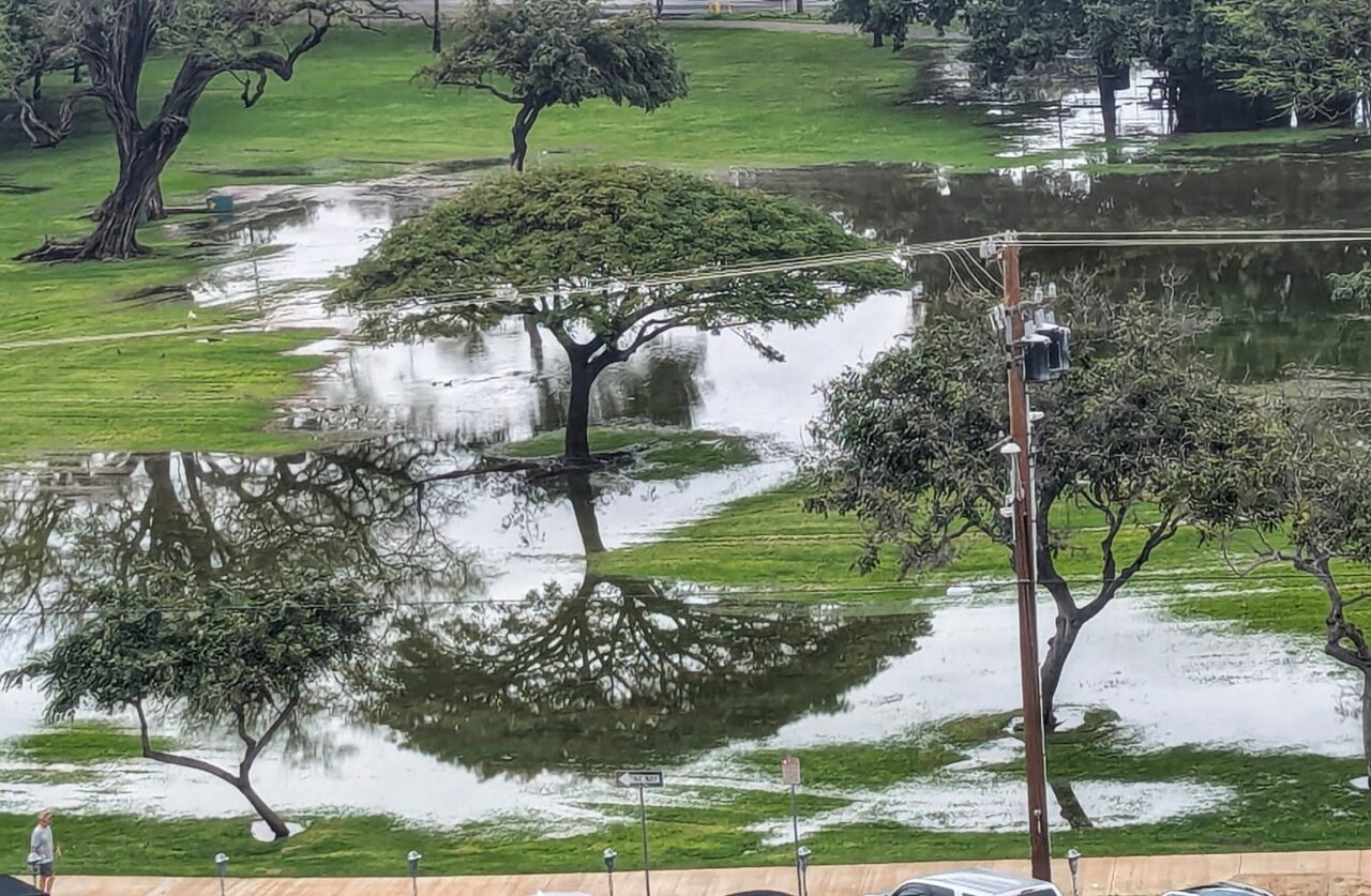 Kapiolani Park Honolulu