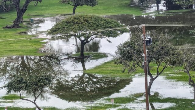 Kapiolani Park Honolulu