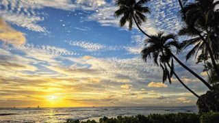 Waikiki sunset
