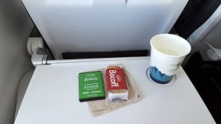 Alaska Airlines Hawaii flight new 737 Max 8