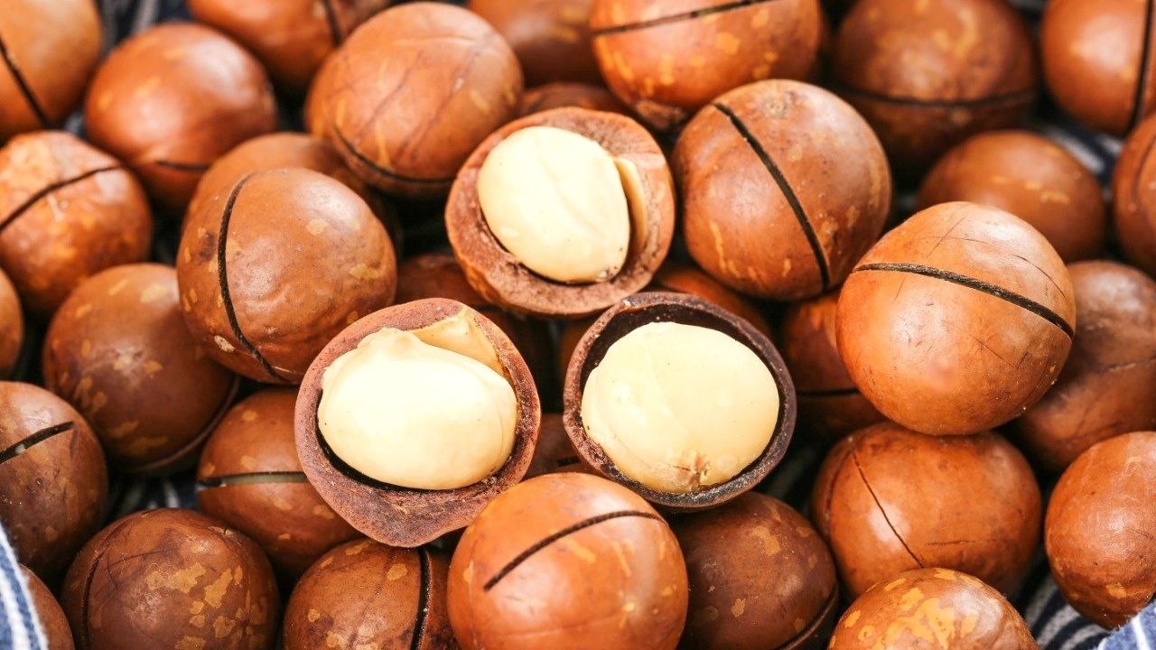 macadamia nuts hawaii