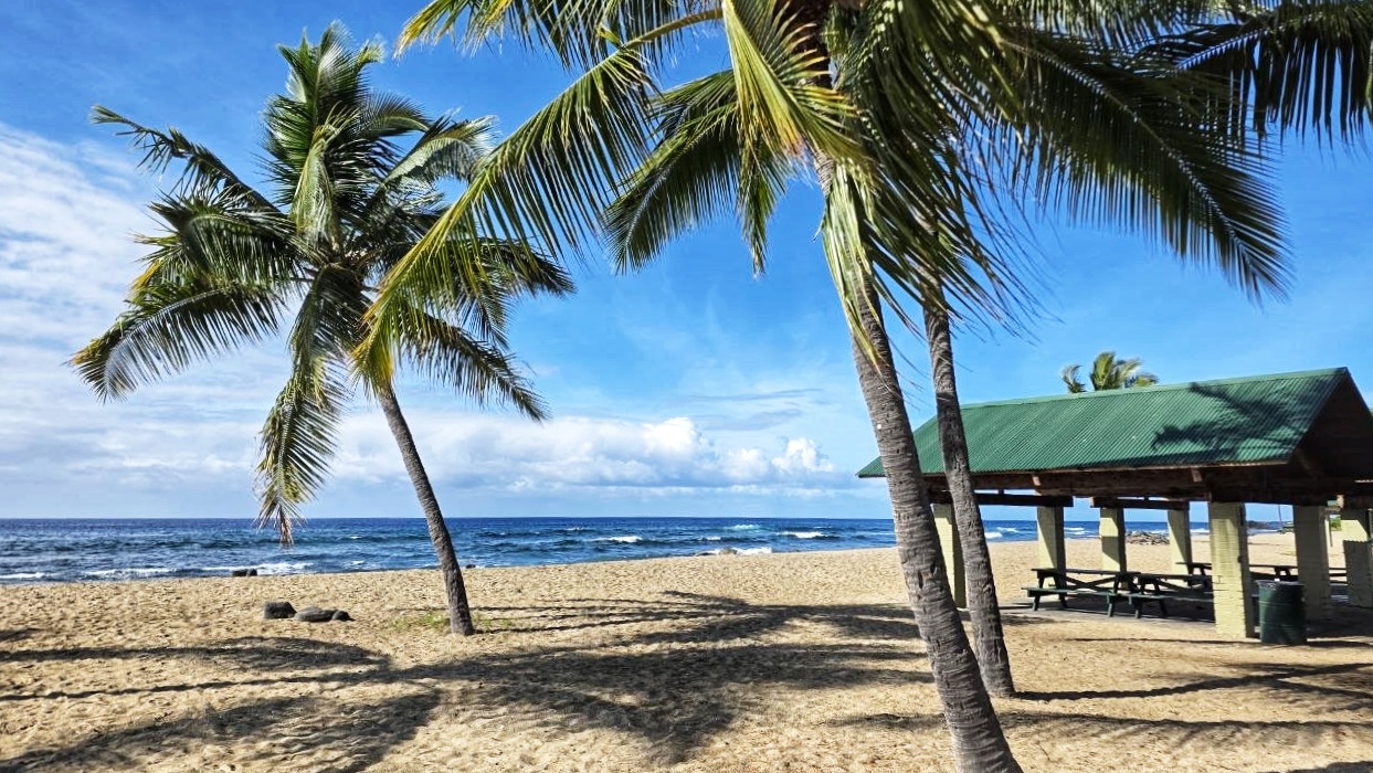 Big Island Beach
