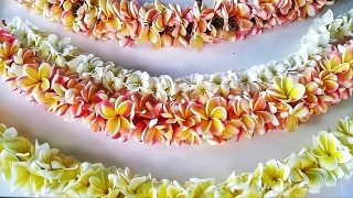 Lei Day Hawaii