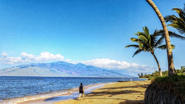 Iconic Maui Beach Walker