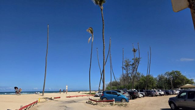 Baldwin Beach on Maui