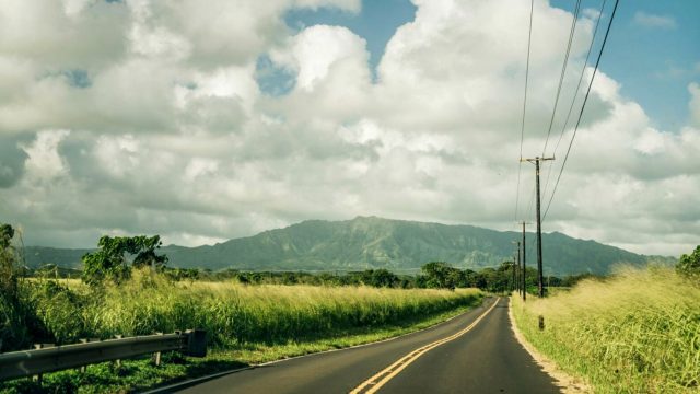 Kauai Coffee Plantation