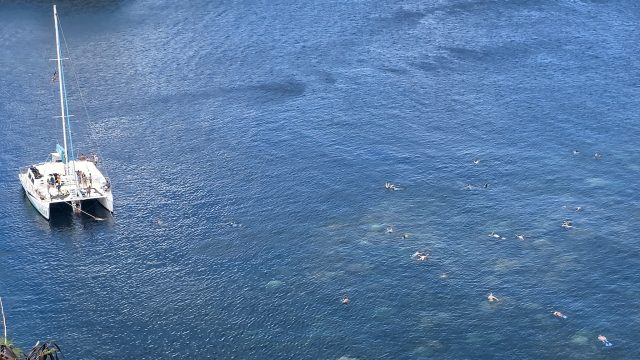 Snorkeling at Honolua Bay on West Maui