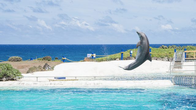 Sea Life Park Oahu