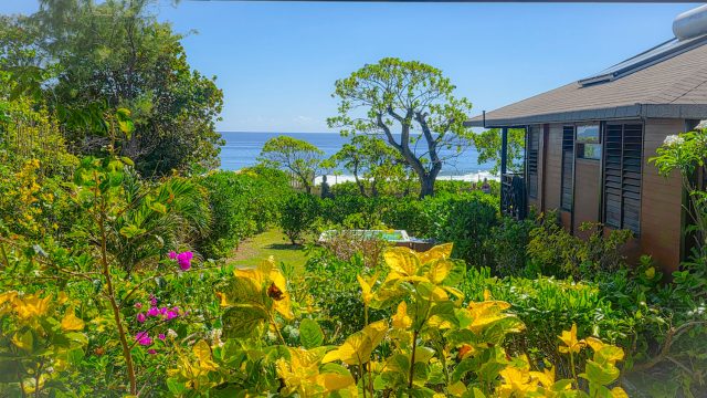 Vacation rental in Hawaii