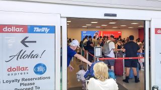 Honolulu car rental line