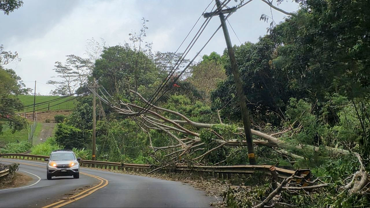 Power lines on Kauai Highway after Lowell