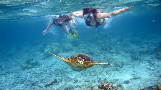 Hawaii snorkeling tour